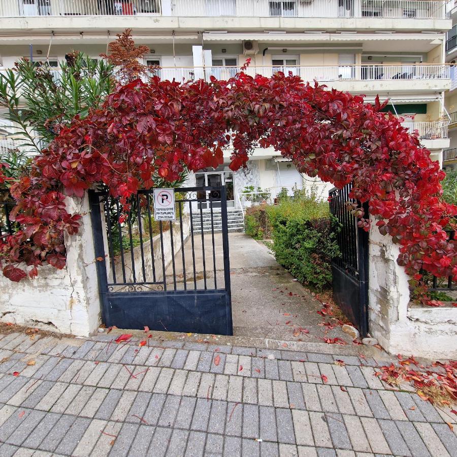 Best Minimal Studio In Xanthi - Myhomee Екстер'єр фото